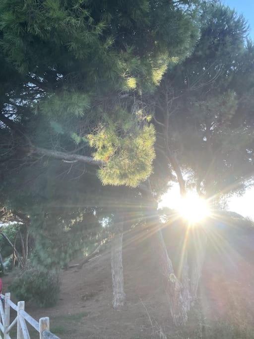 Estupendo Duplex A 5 Min Andando De La Playa Leilighet Marbella Eksteriør bilde